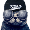 Avatar de Gato